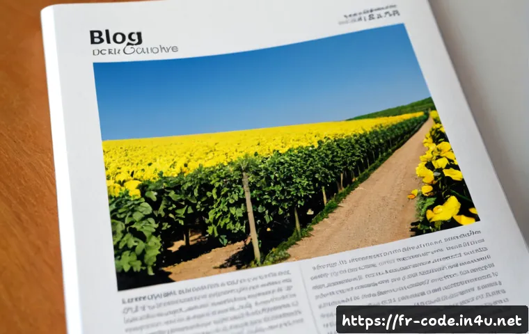 Devenir formateur en programmation ou apprendre le développement logiciel : parcours, coûts et critères de choix 4 코딩교육지도사와 소프트웨어 개발 교육 관련 이미지 2